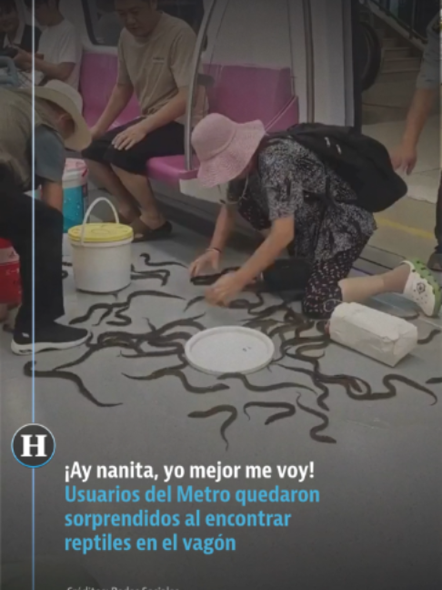 @elheraldodemexico