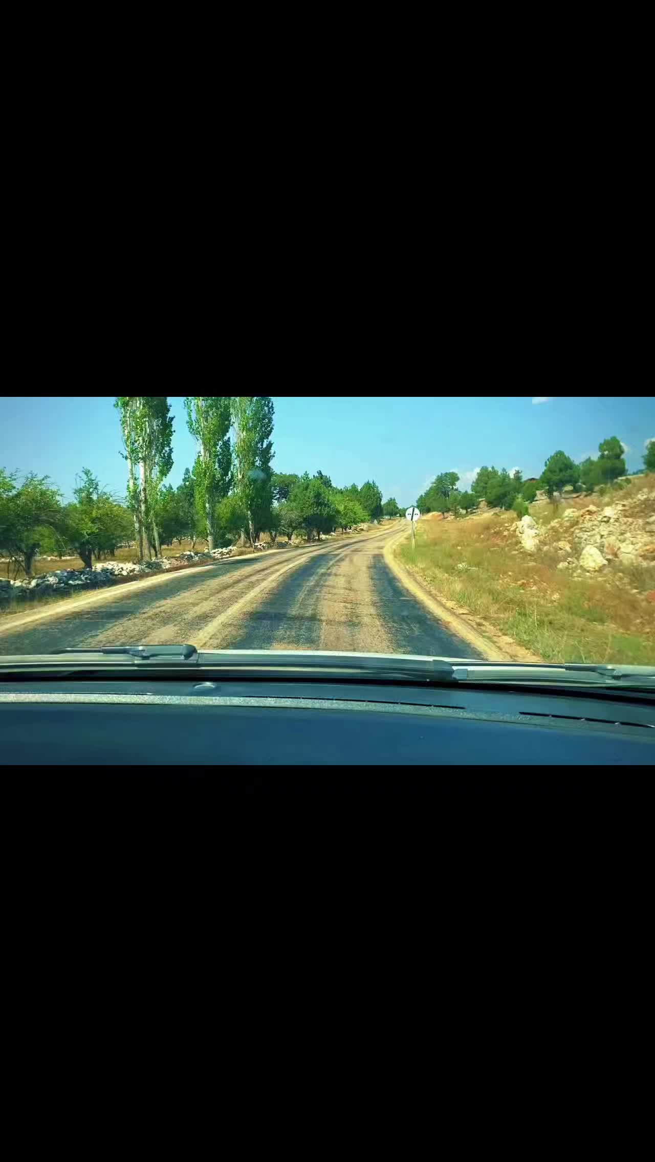 @Songül Demir
