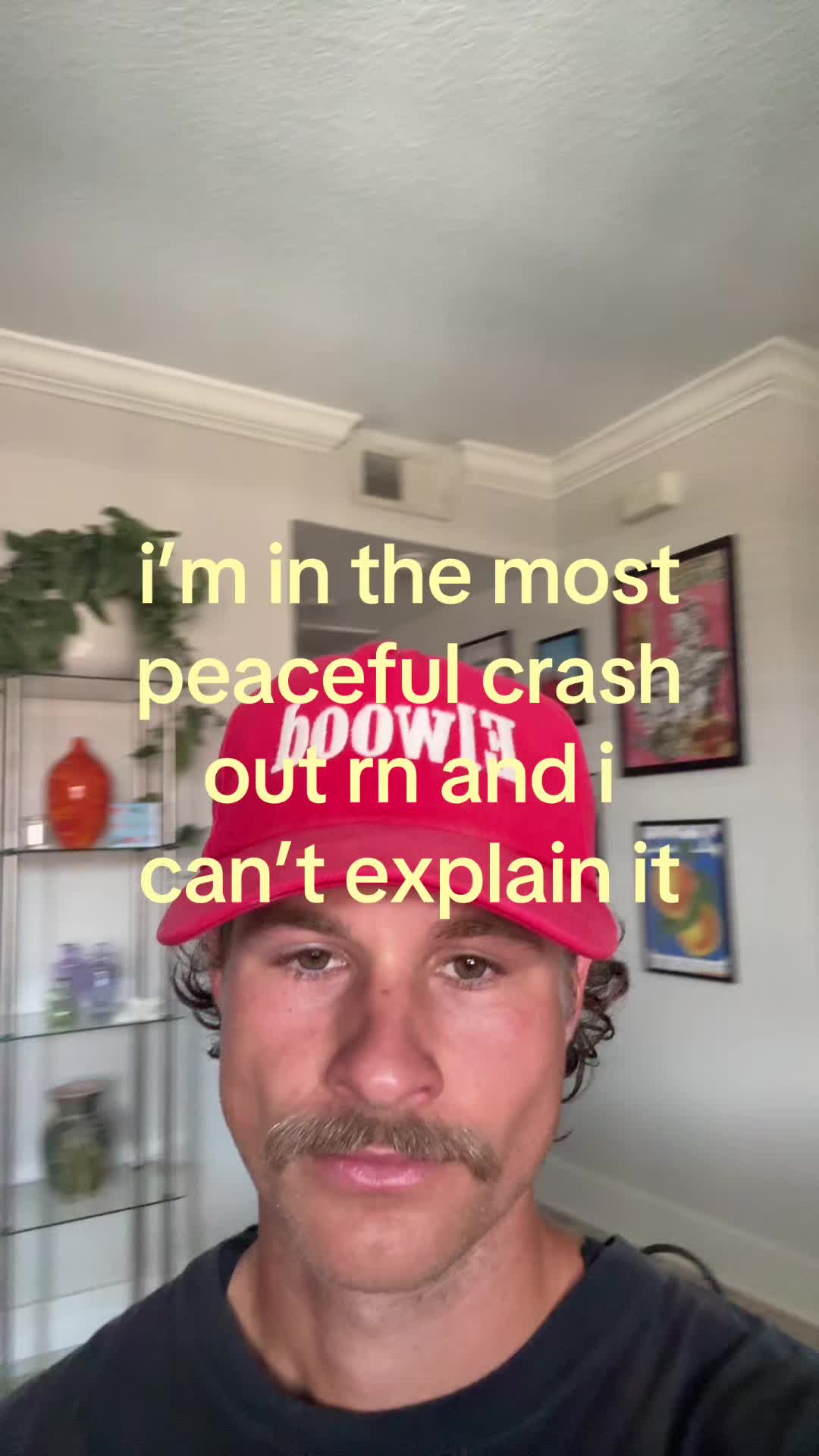 @shane
