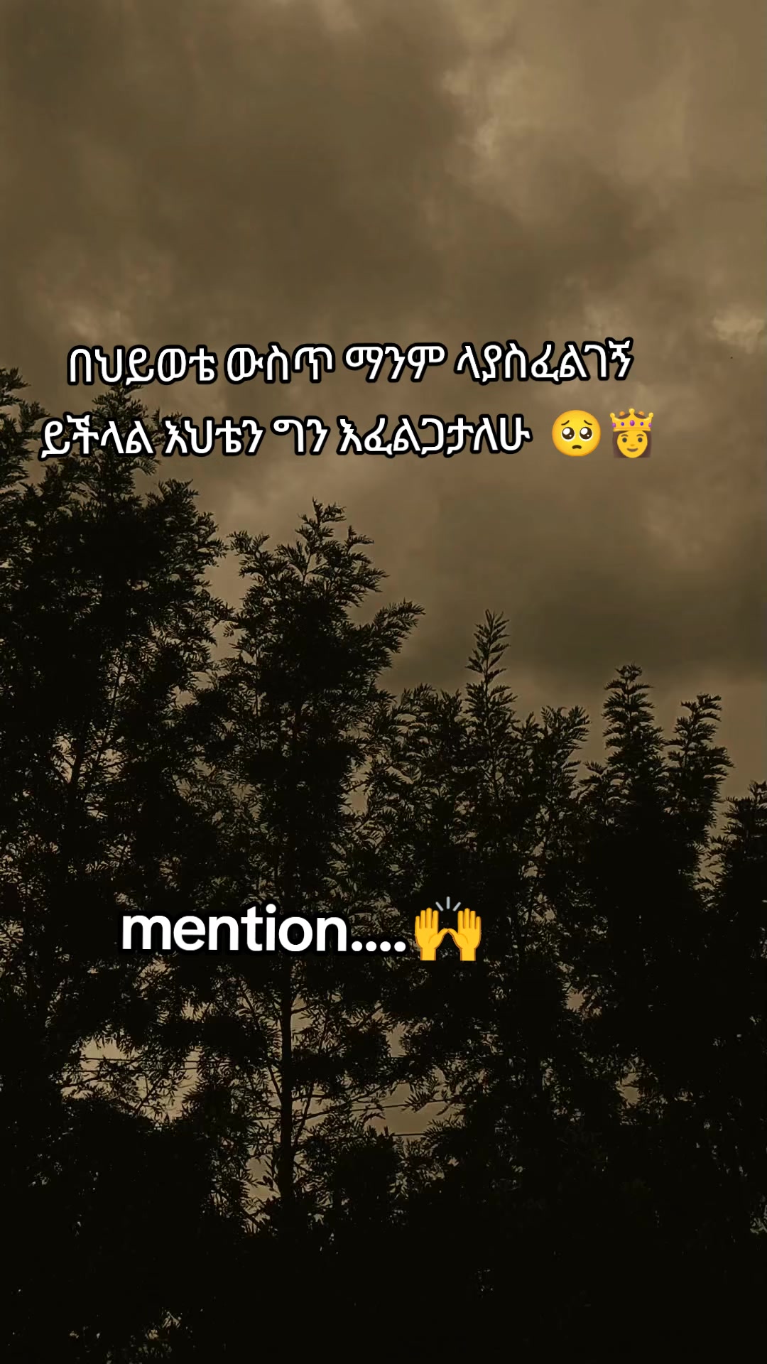 @โจ TEMU Quotes