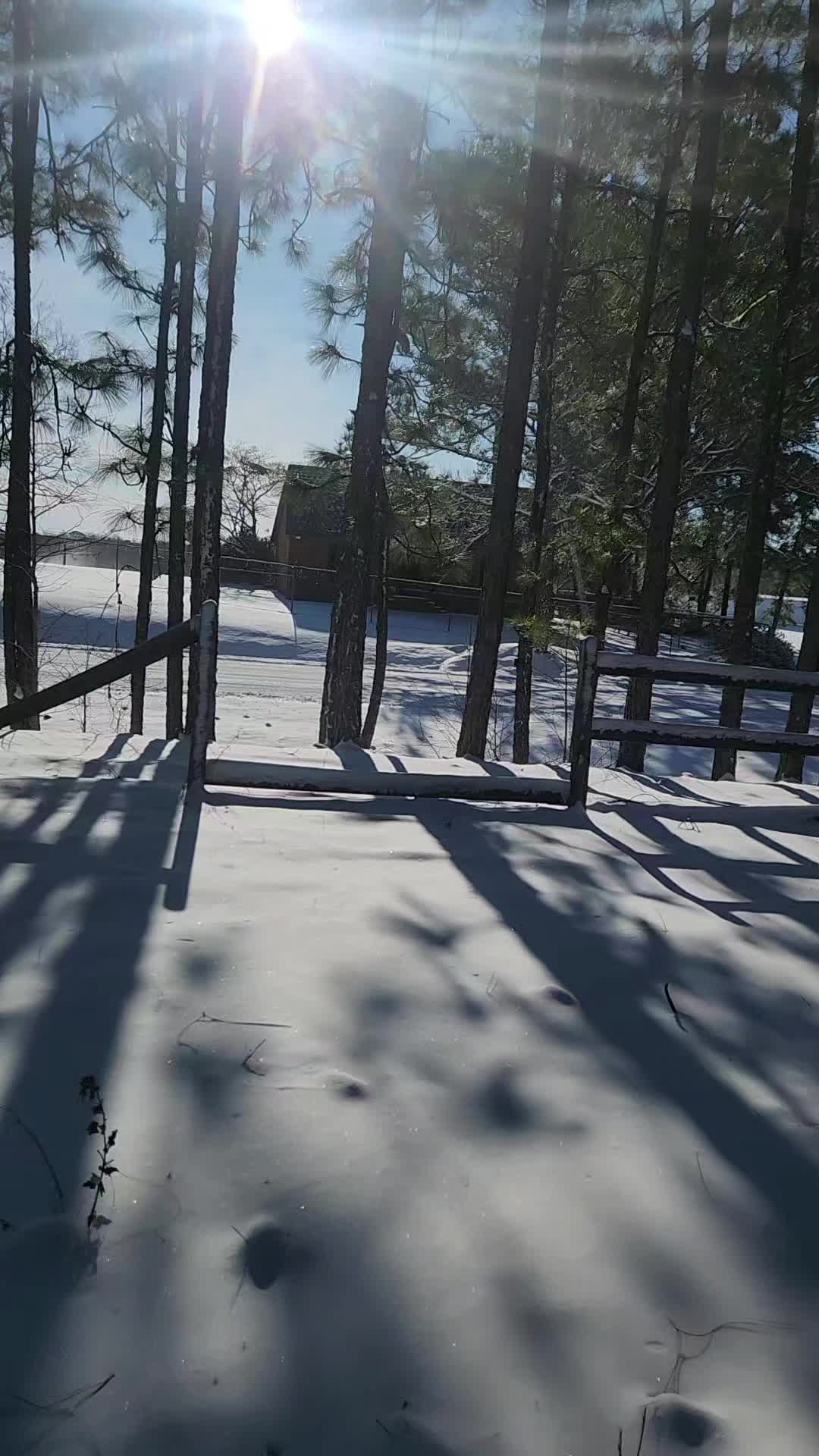 @Toyaaaa