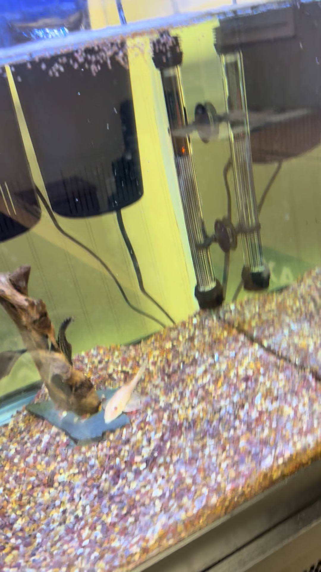 @fishdaddy2002