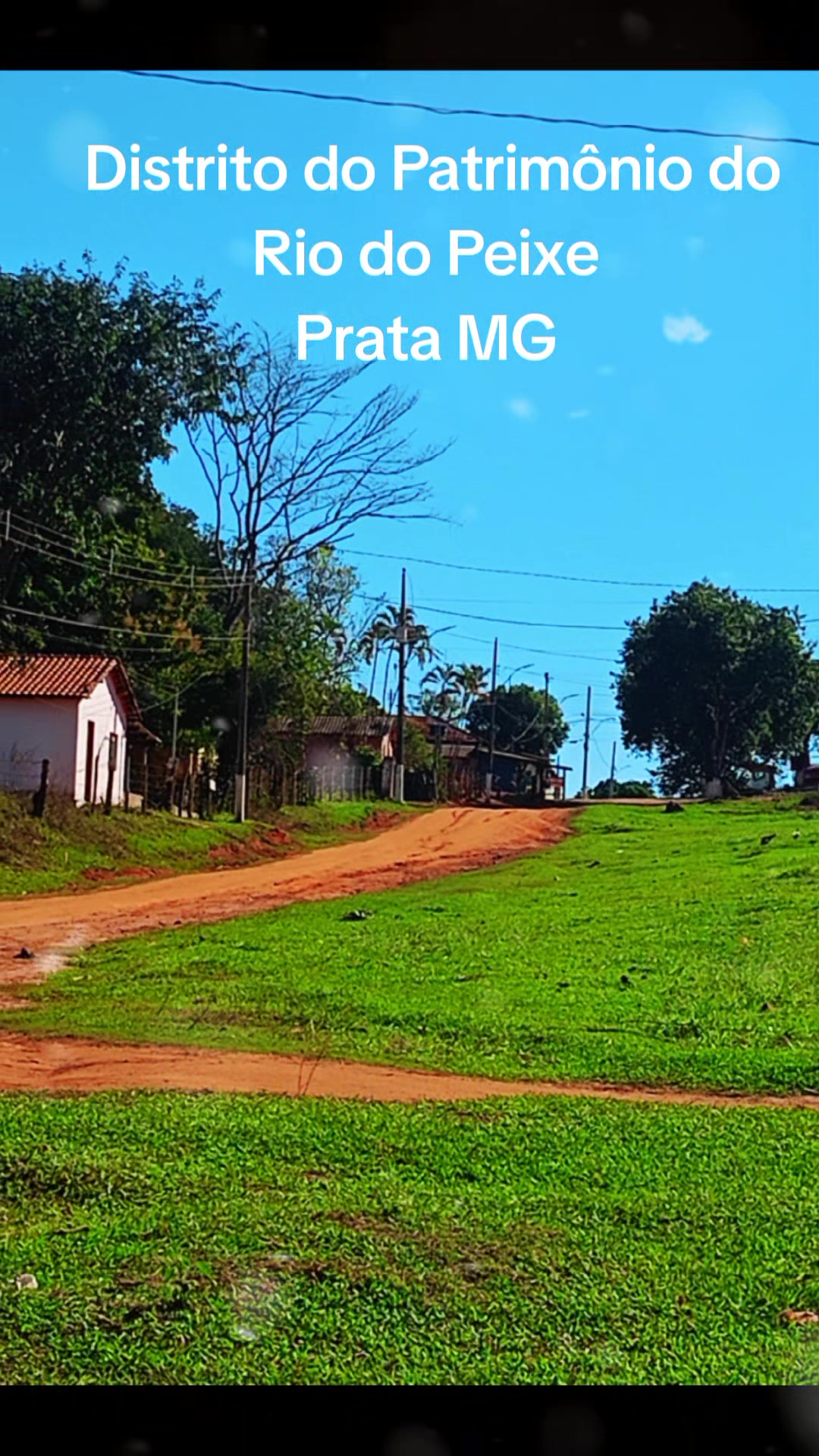 @Adriana Aparecida Si