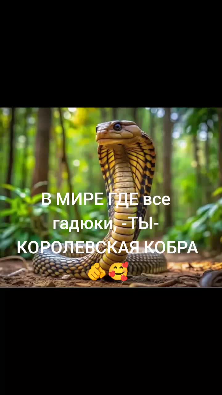 @ОЛЬГА