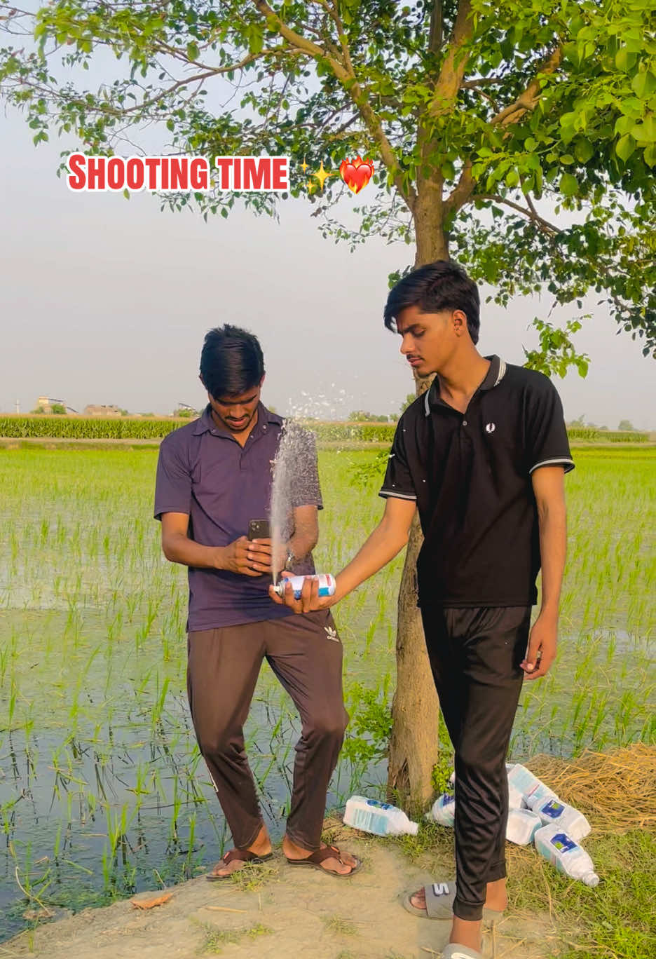 @🌱اویس میئو😎