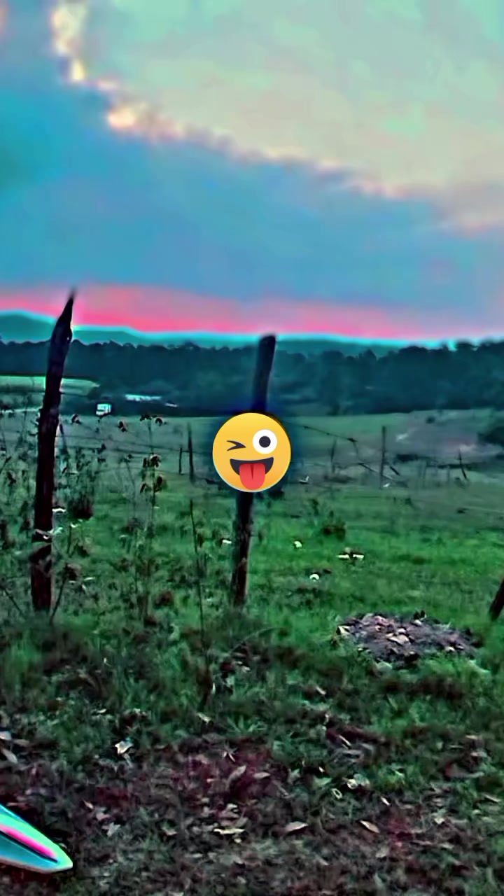 @Alex 504 ❤️
