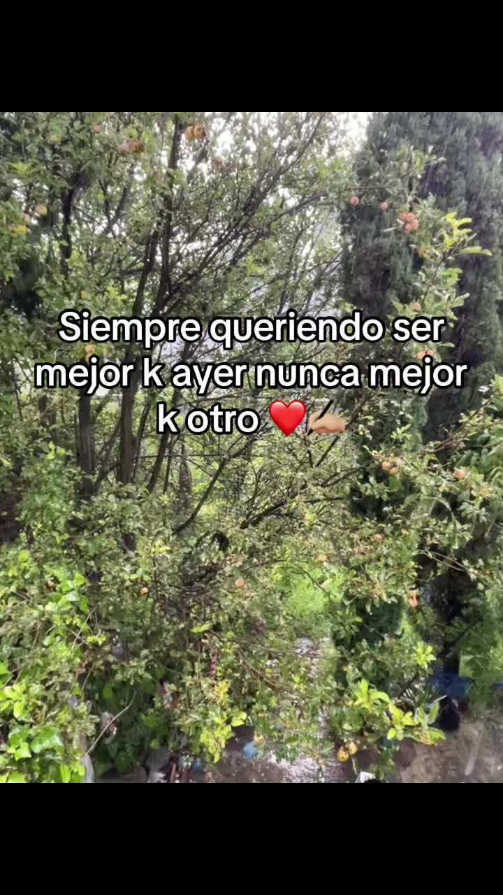 @cn_bris