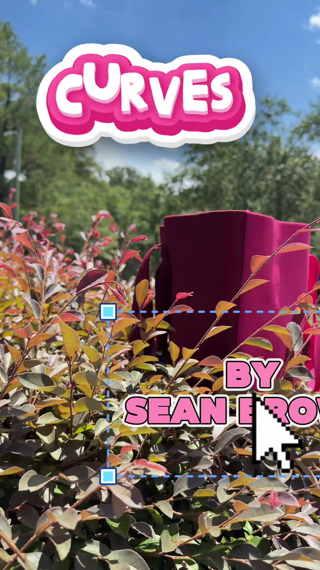 @Dee Anna |Content Creator