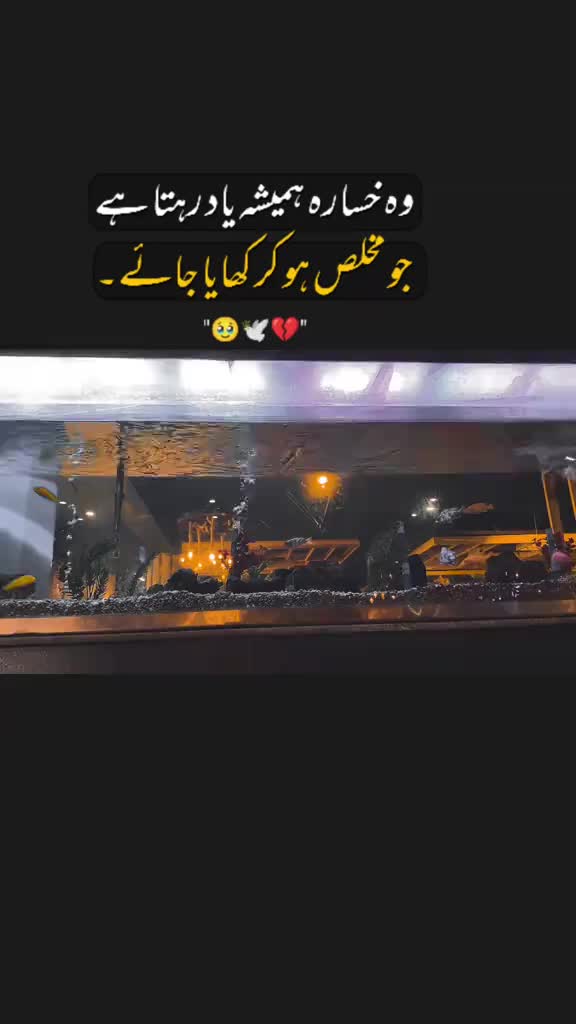 @Zubair Sahu