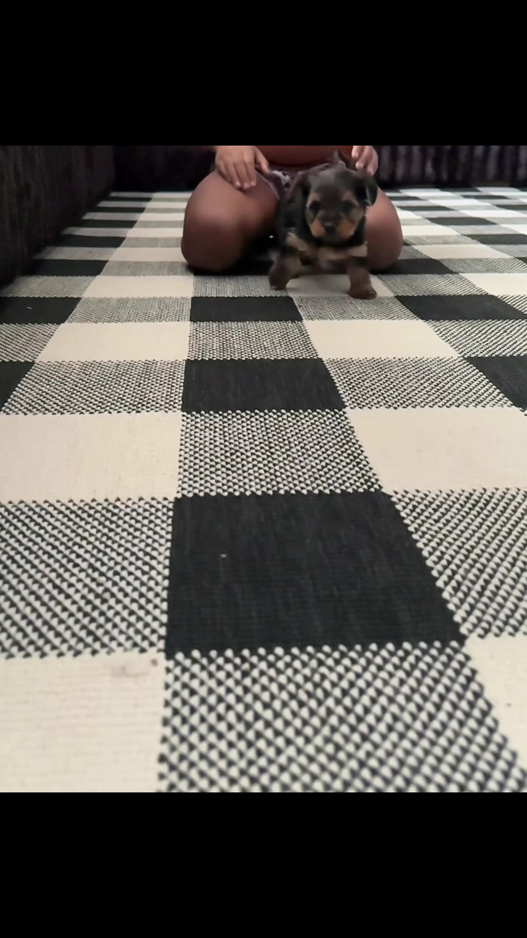 @ToyaTenille_KraftHouse
