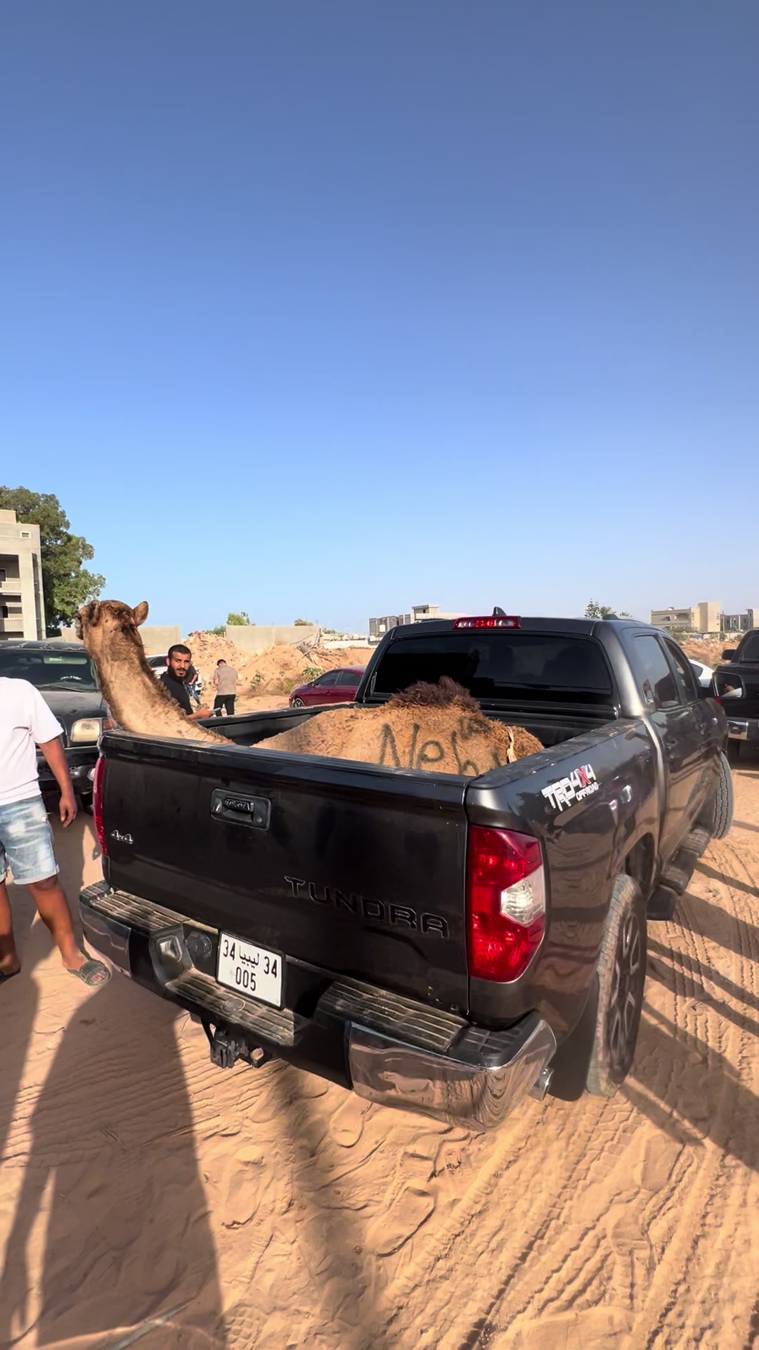@البوعيشي