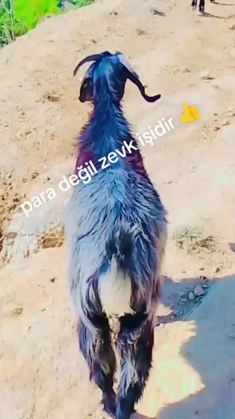 @Yörükoğlu Yaşar 20