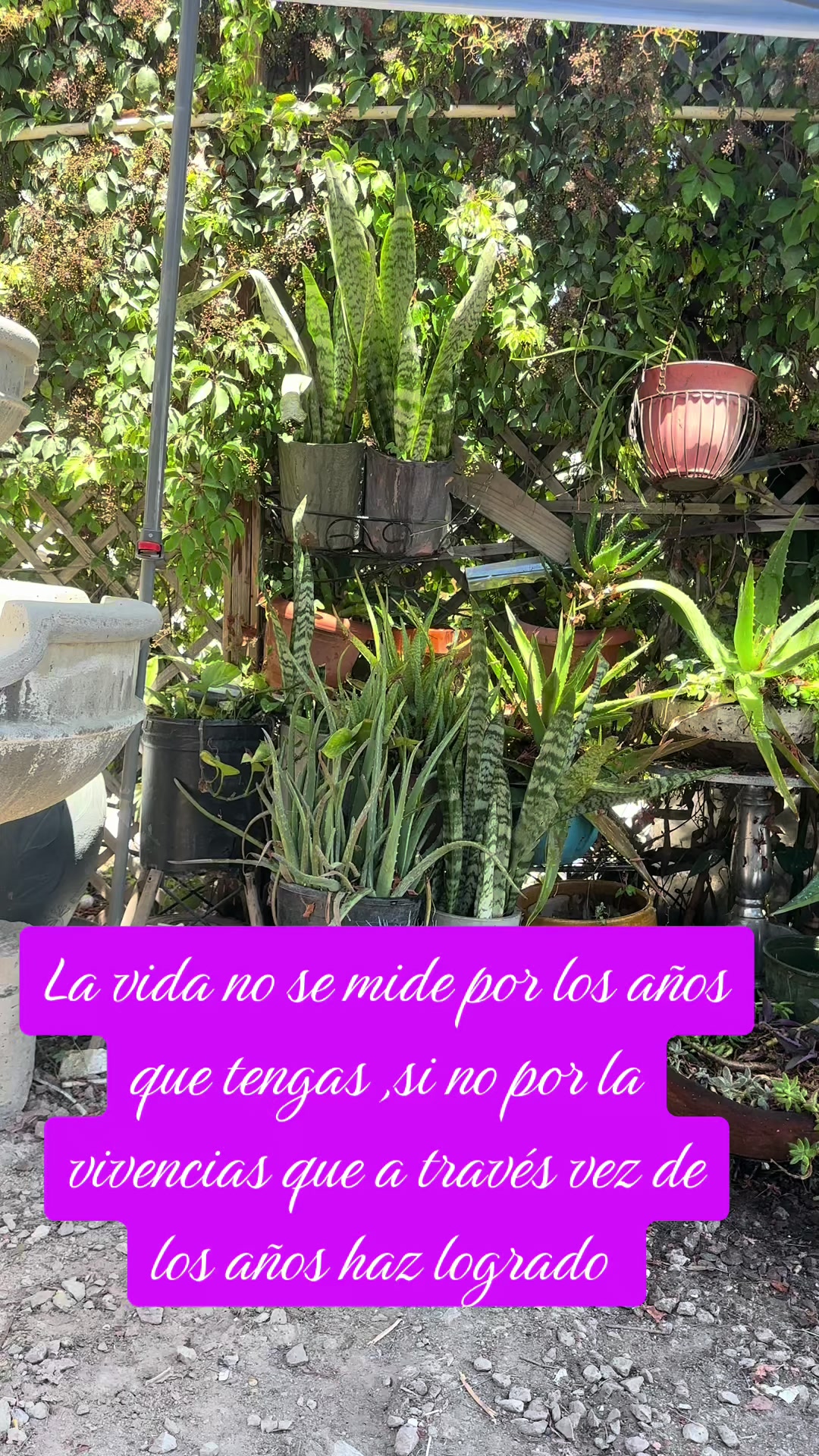 @Maria teresa Cruz sevilla