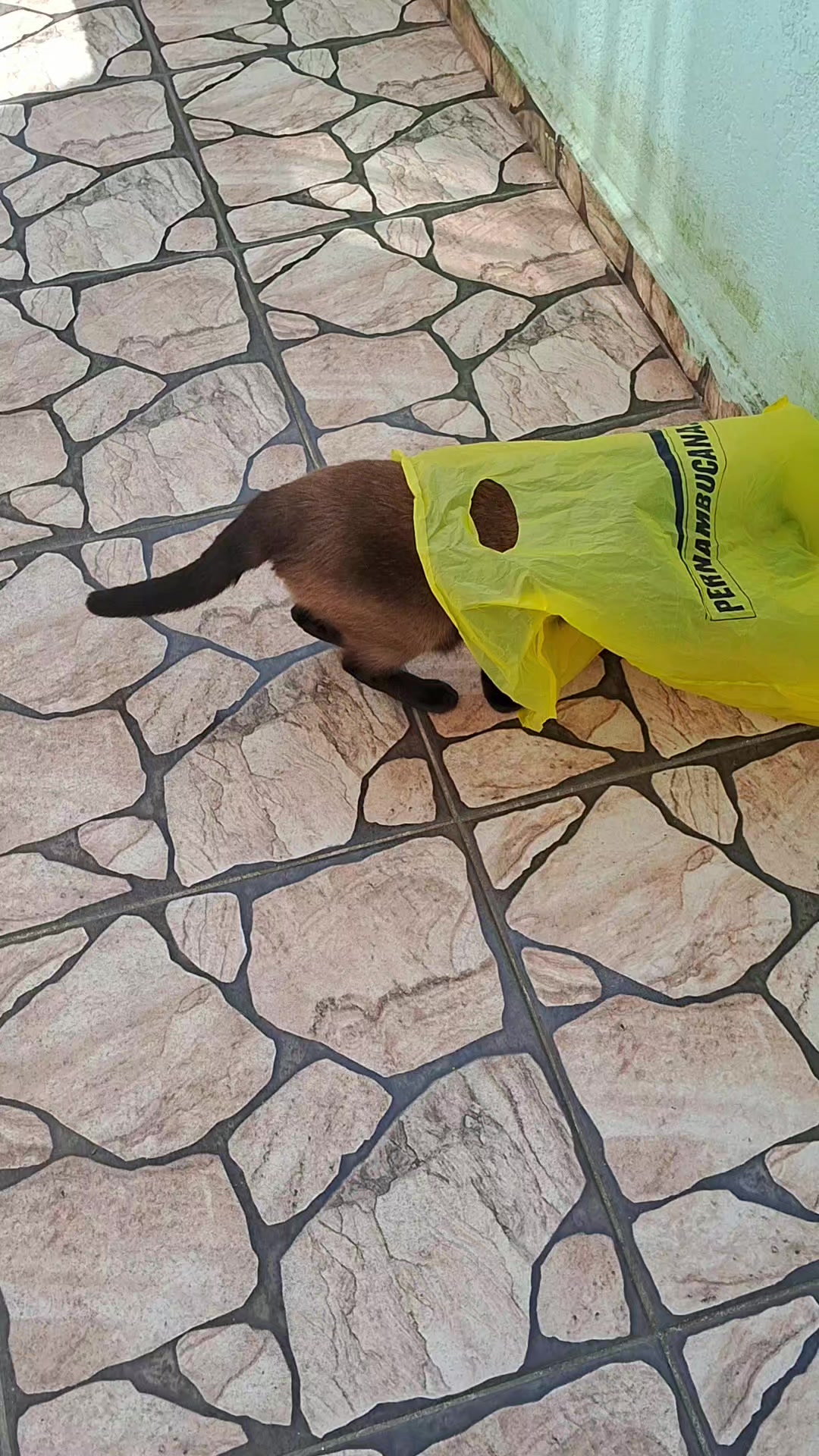 @lua