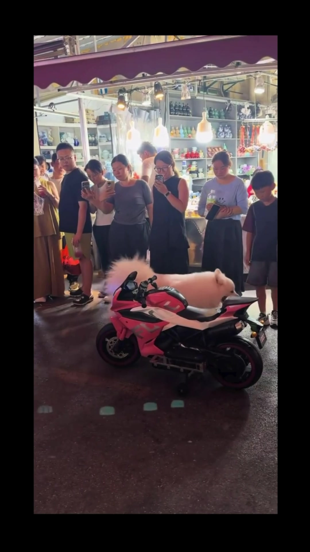 @澳中文传