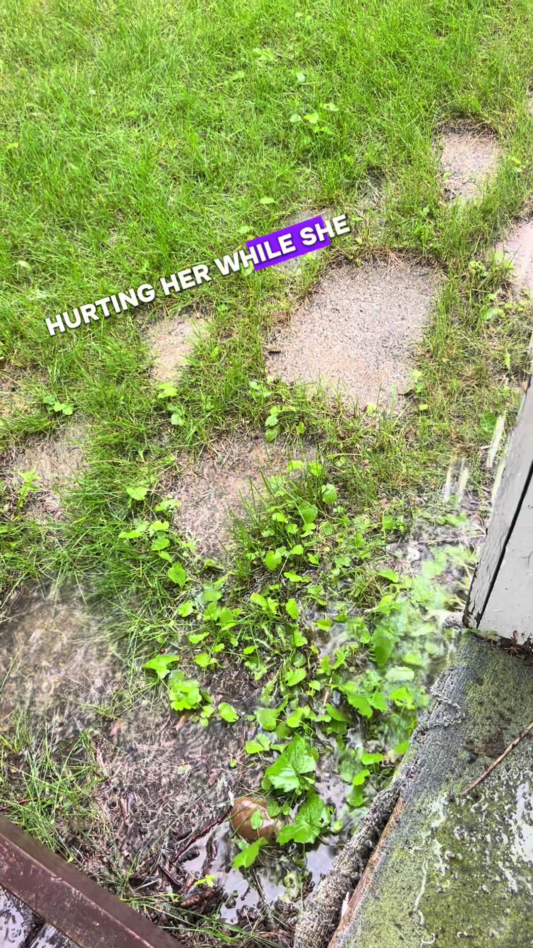 @Sara 🇨🇦