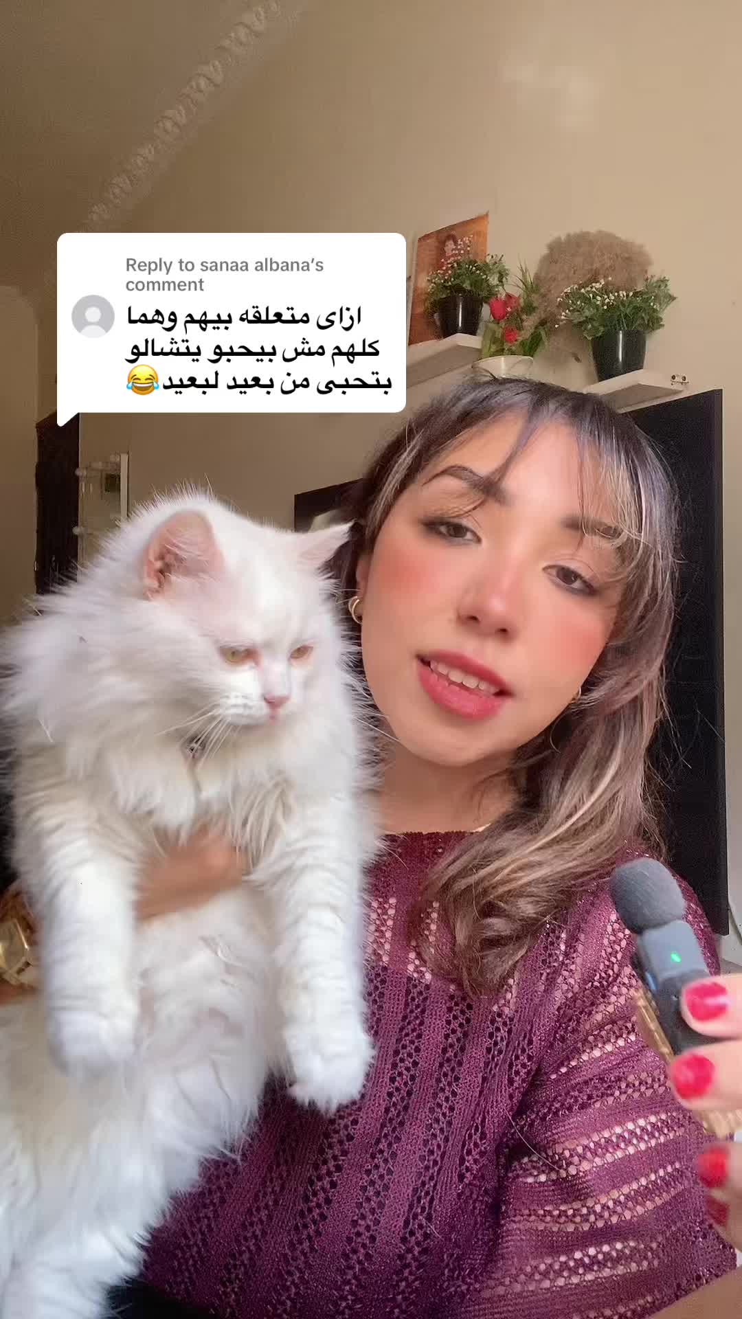 @Nermeen elYousr
