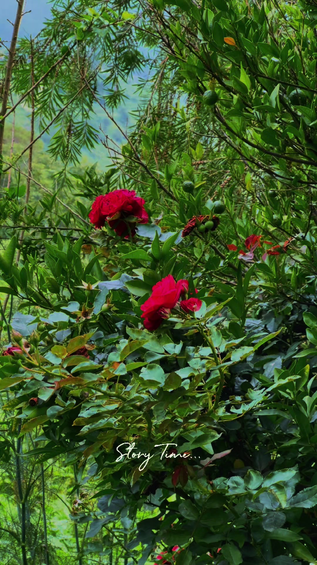 @🇳🇵SURESH BHANDARI🇳🇵👮♀️
