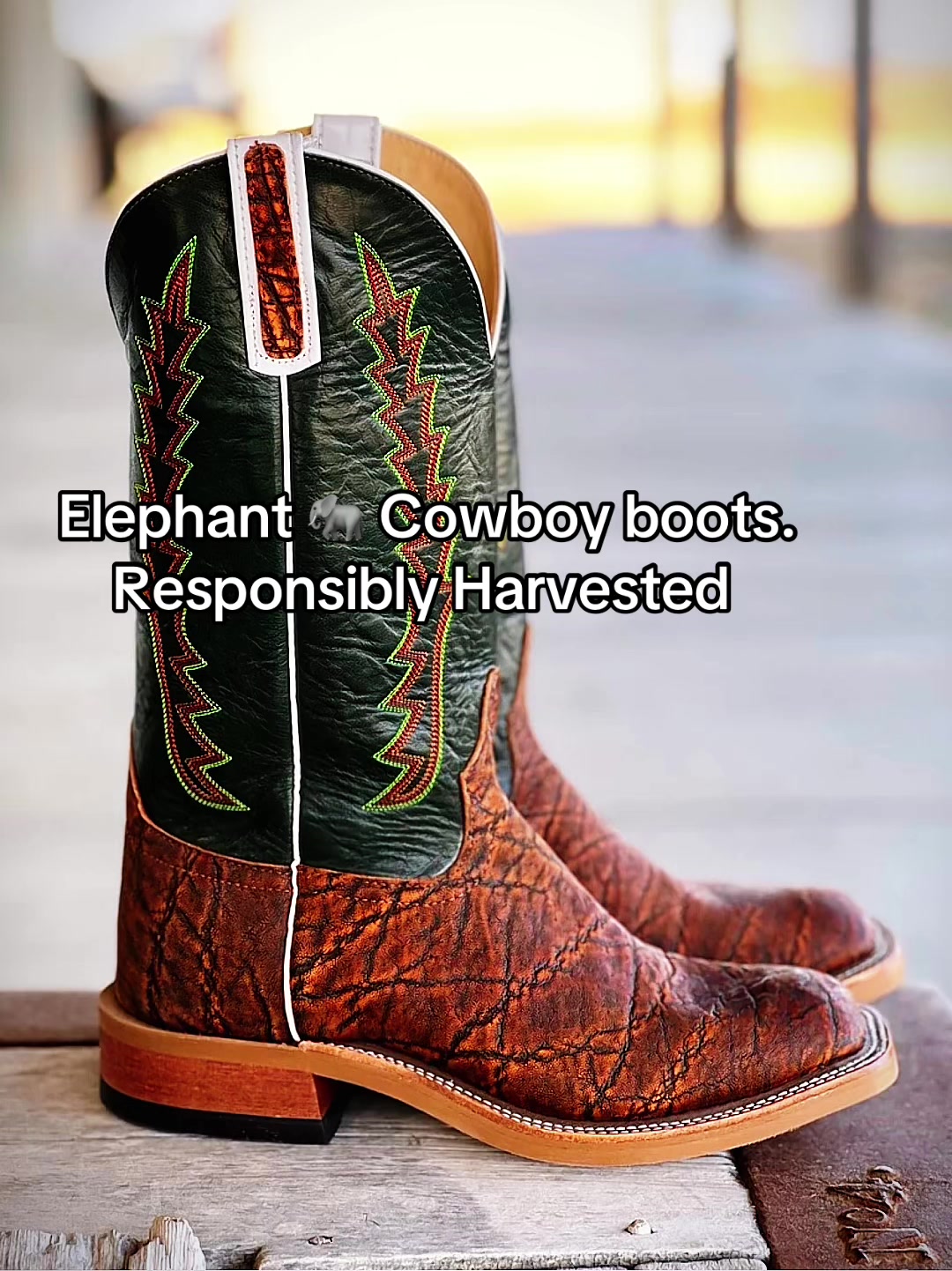 @bestlifetexas