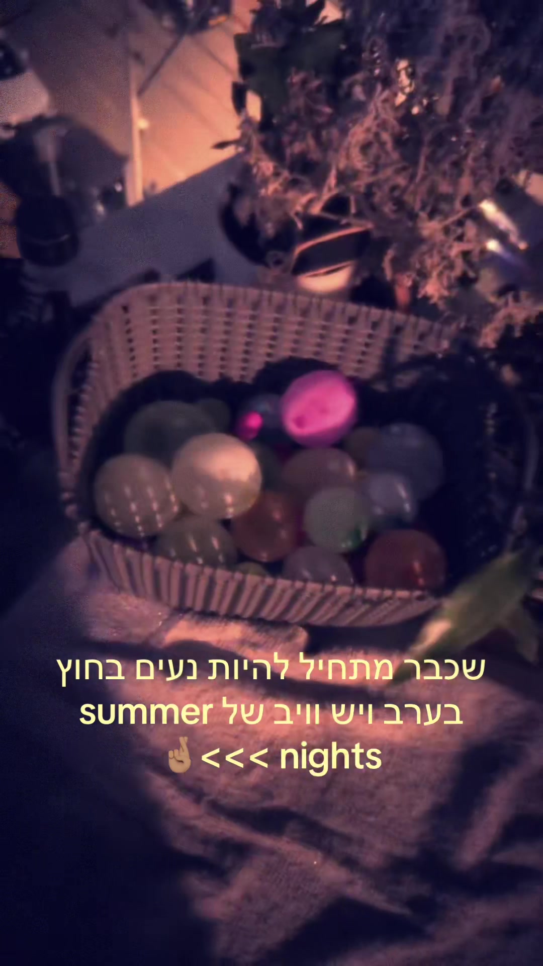 @๐ท๐ธ๐ป๐ฐ ๐ฐ๐๐ฐ๐โ๏ธ
