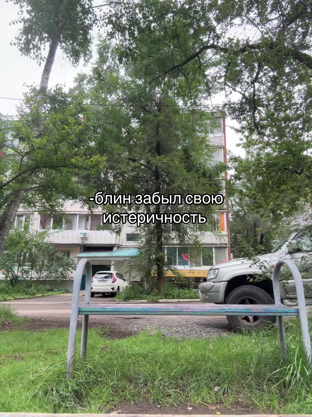@фиманиша🎀