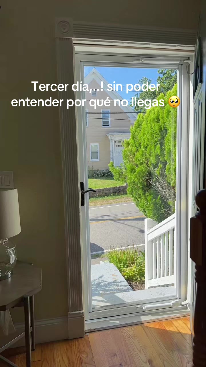 @javierfigueroa929