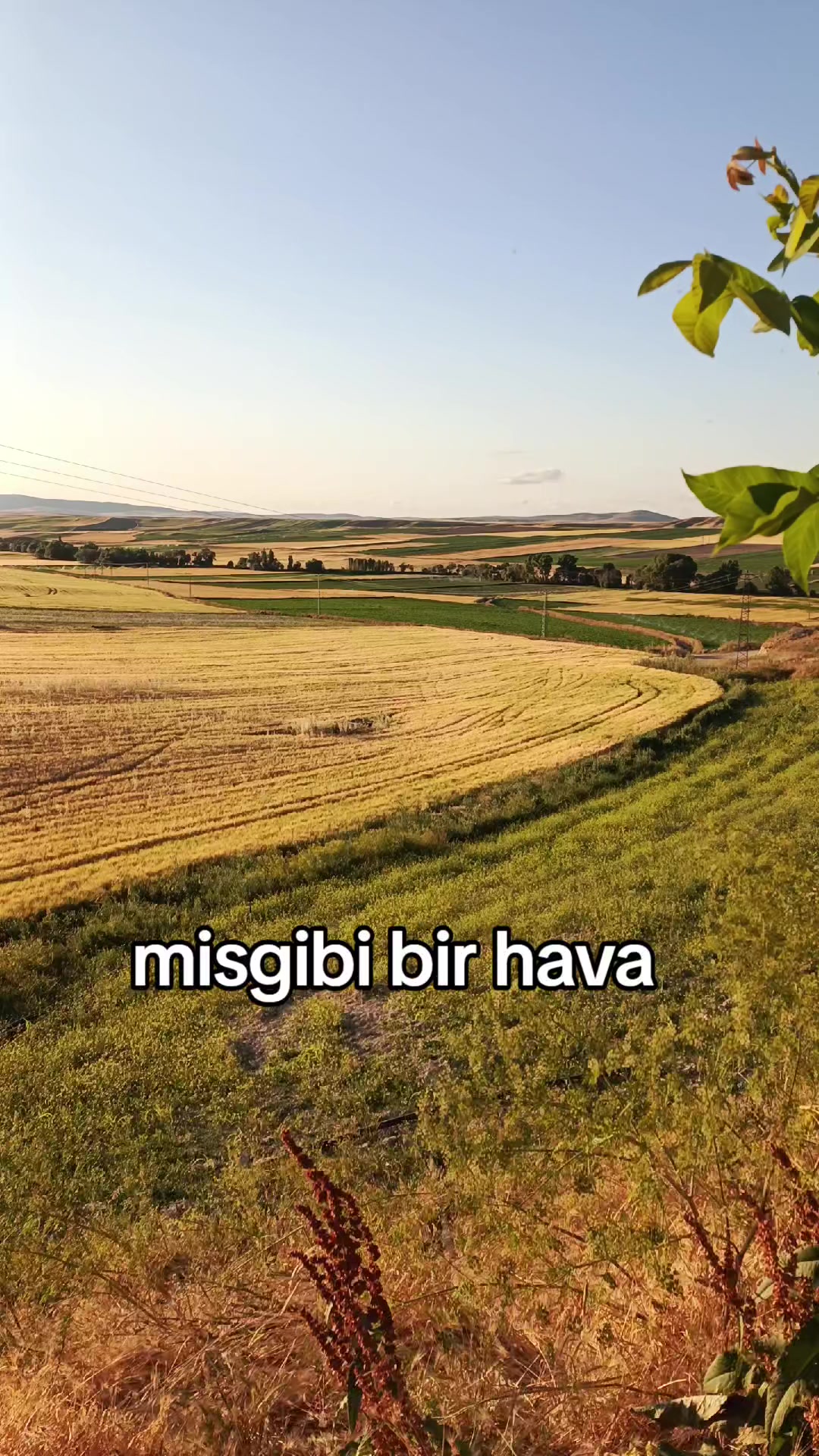 @yılmaz Çetinkaya
