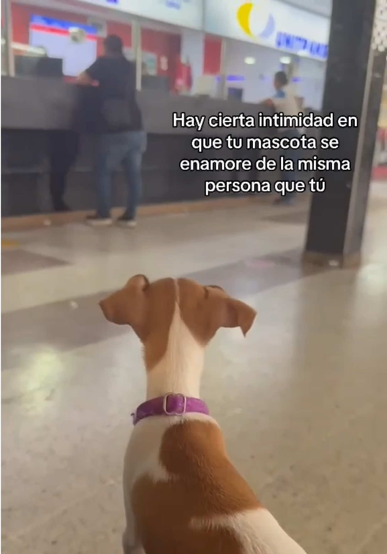 @Daniela Rivera