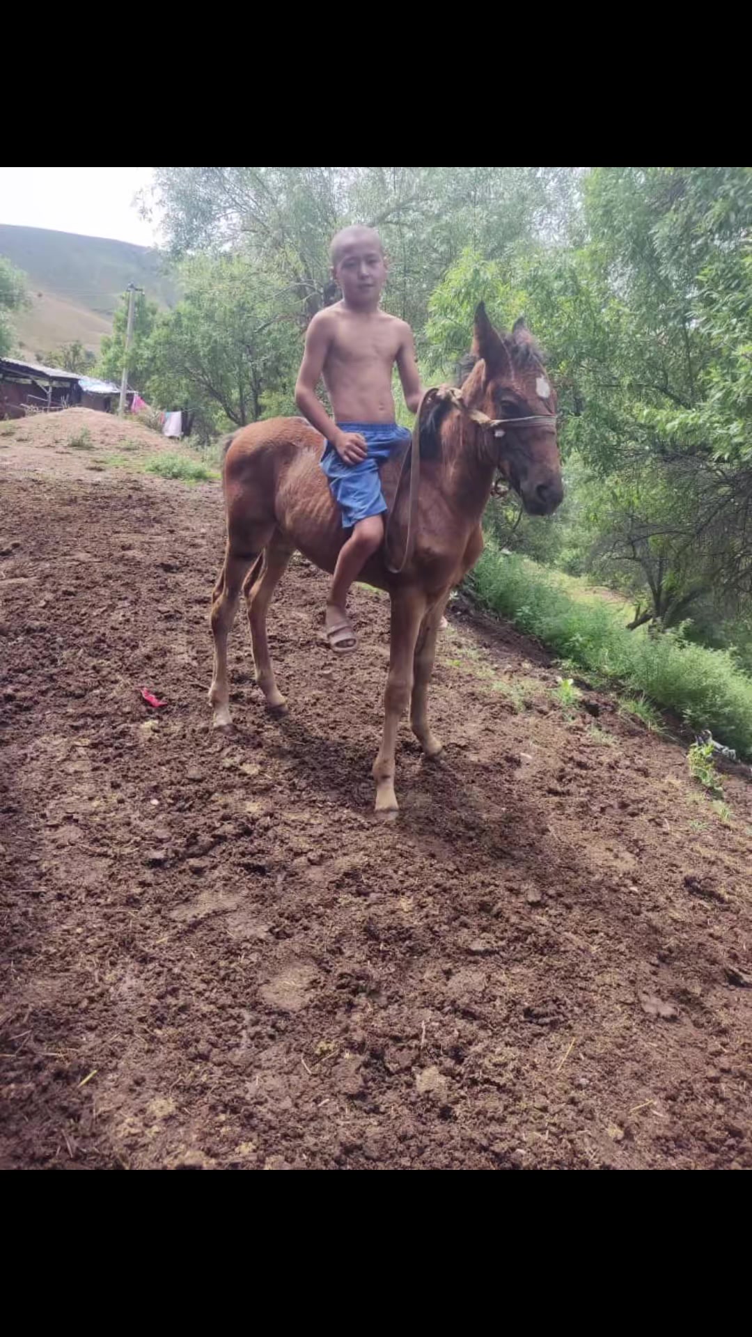 @tynycbekazaliev