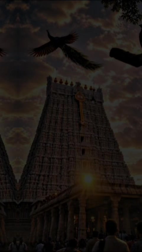 @vijay💢💢💫💫💥💥