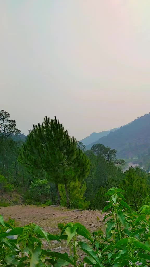 @fiaznawab