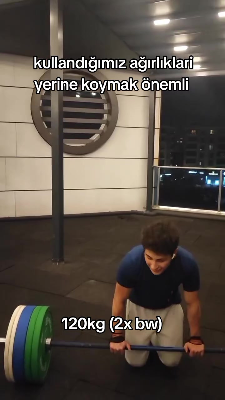 @palasthetics