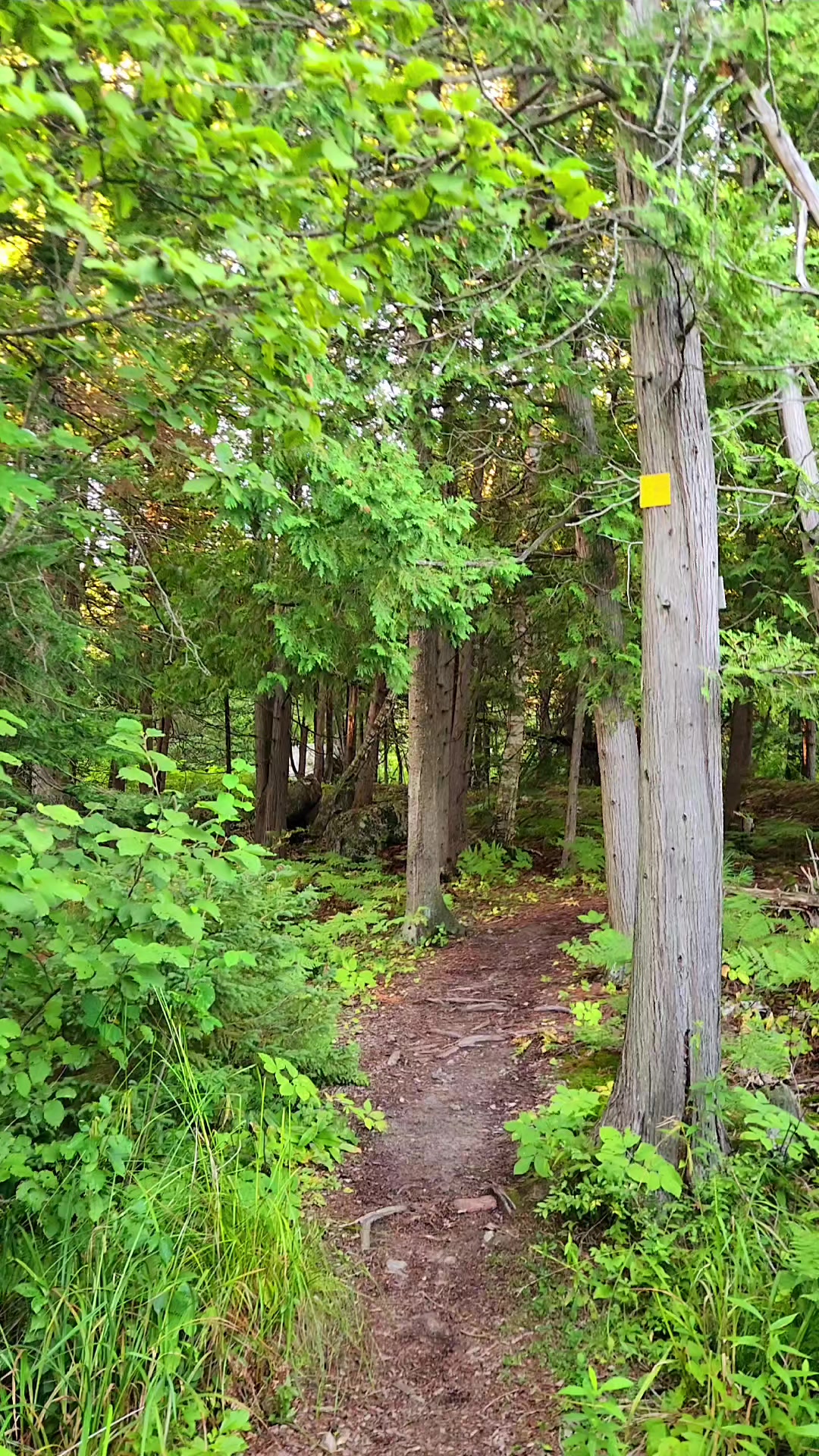 @🇨🇦views_from_the_back_50🇨🇦