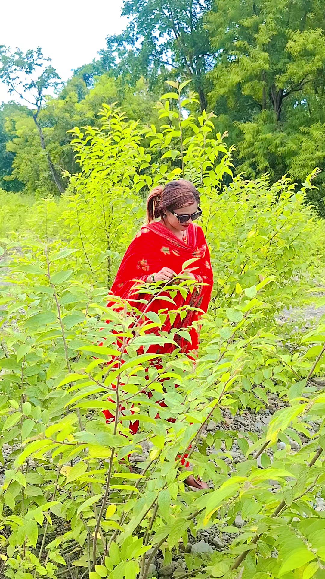 @Kalpana Lekhak