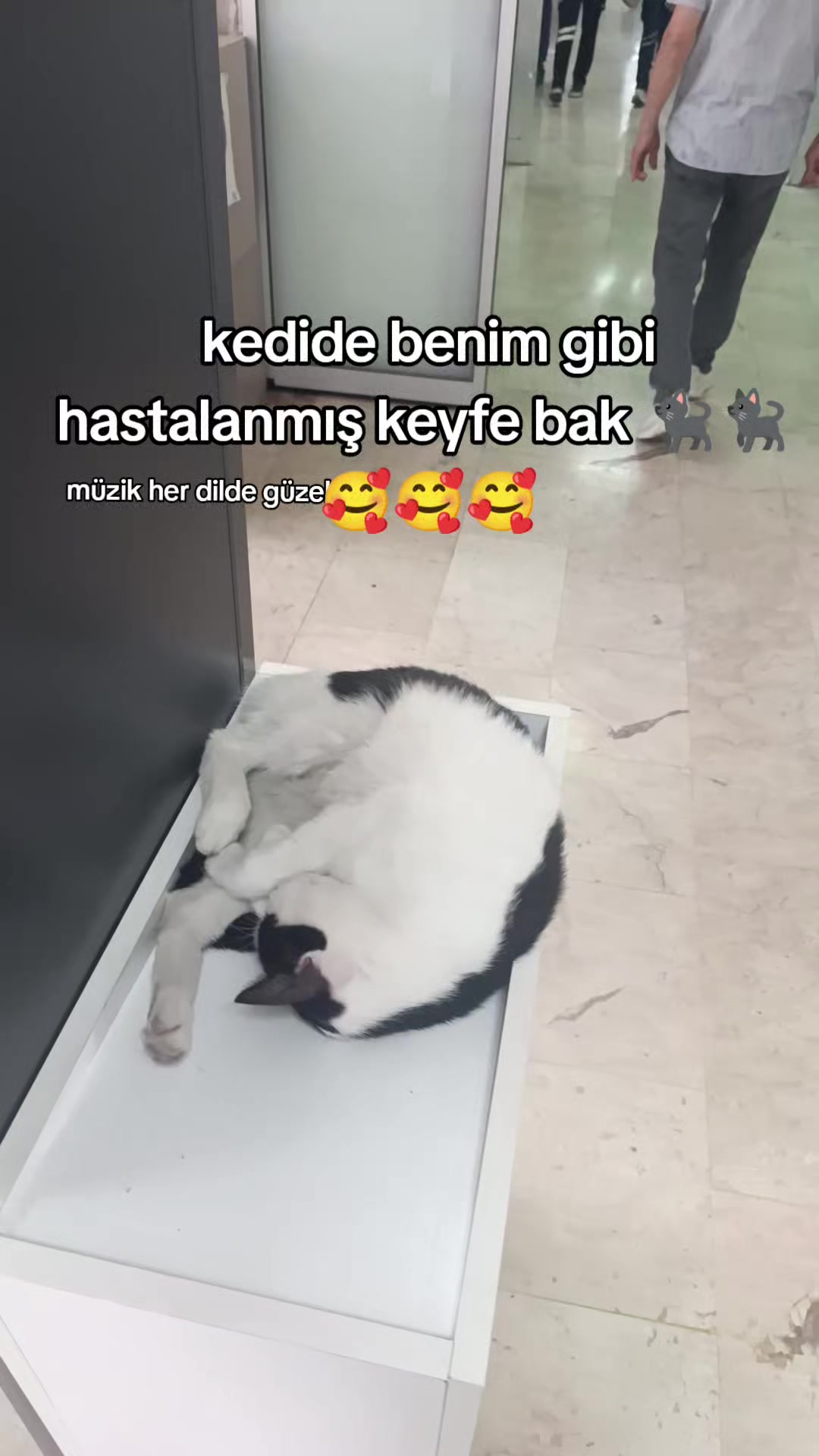 @müzik her dilde güzeldir