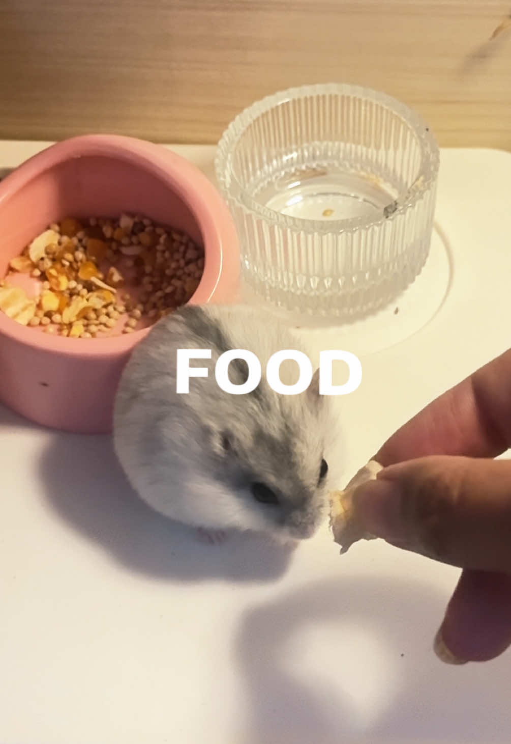 @Risol