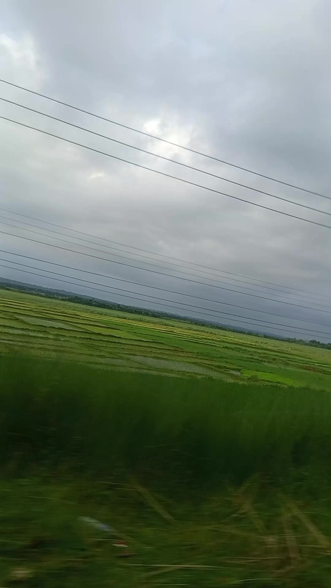 @फिरन्ते 🔎💐🤗