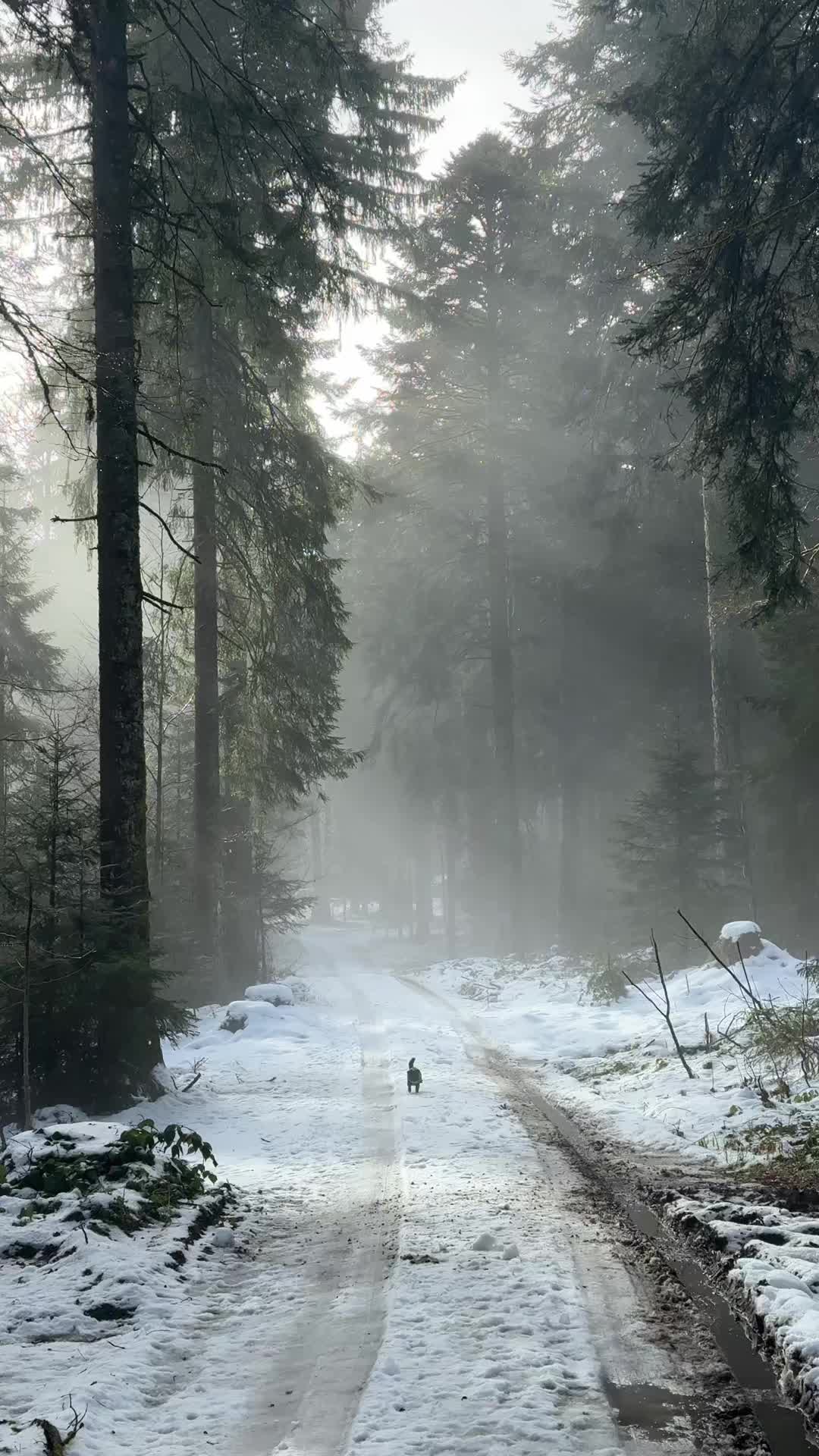 @nature.my.homie
