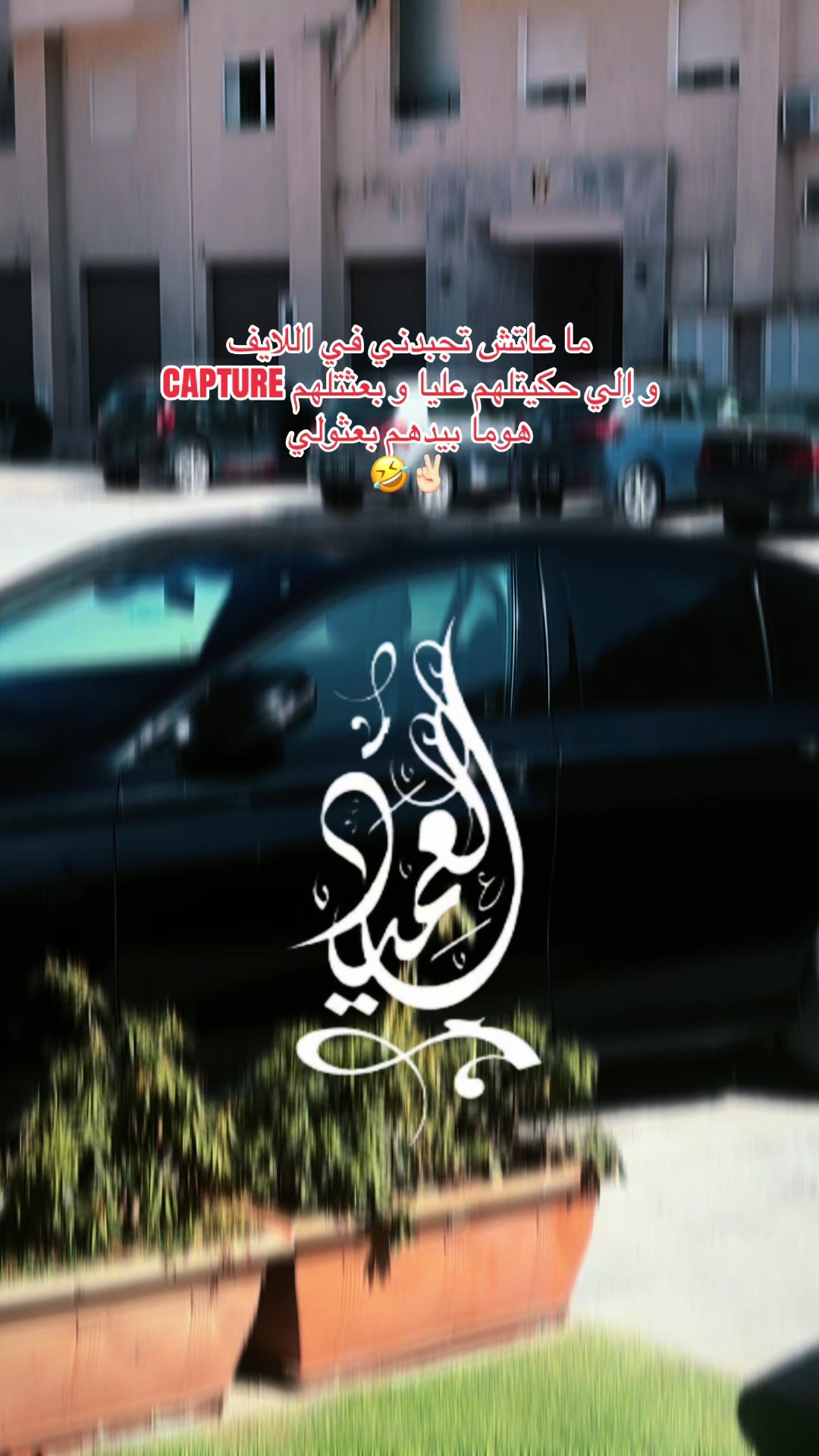 @⚜️⚔️العميد⚔️⚜️
