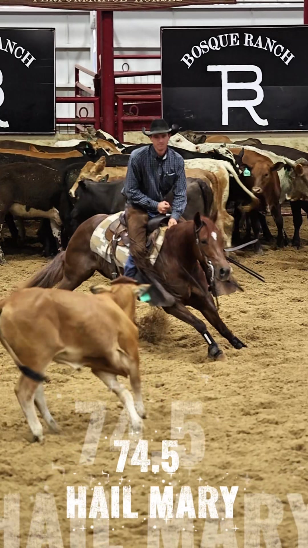 @rtabogacuttinghorses