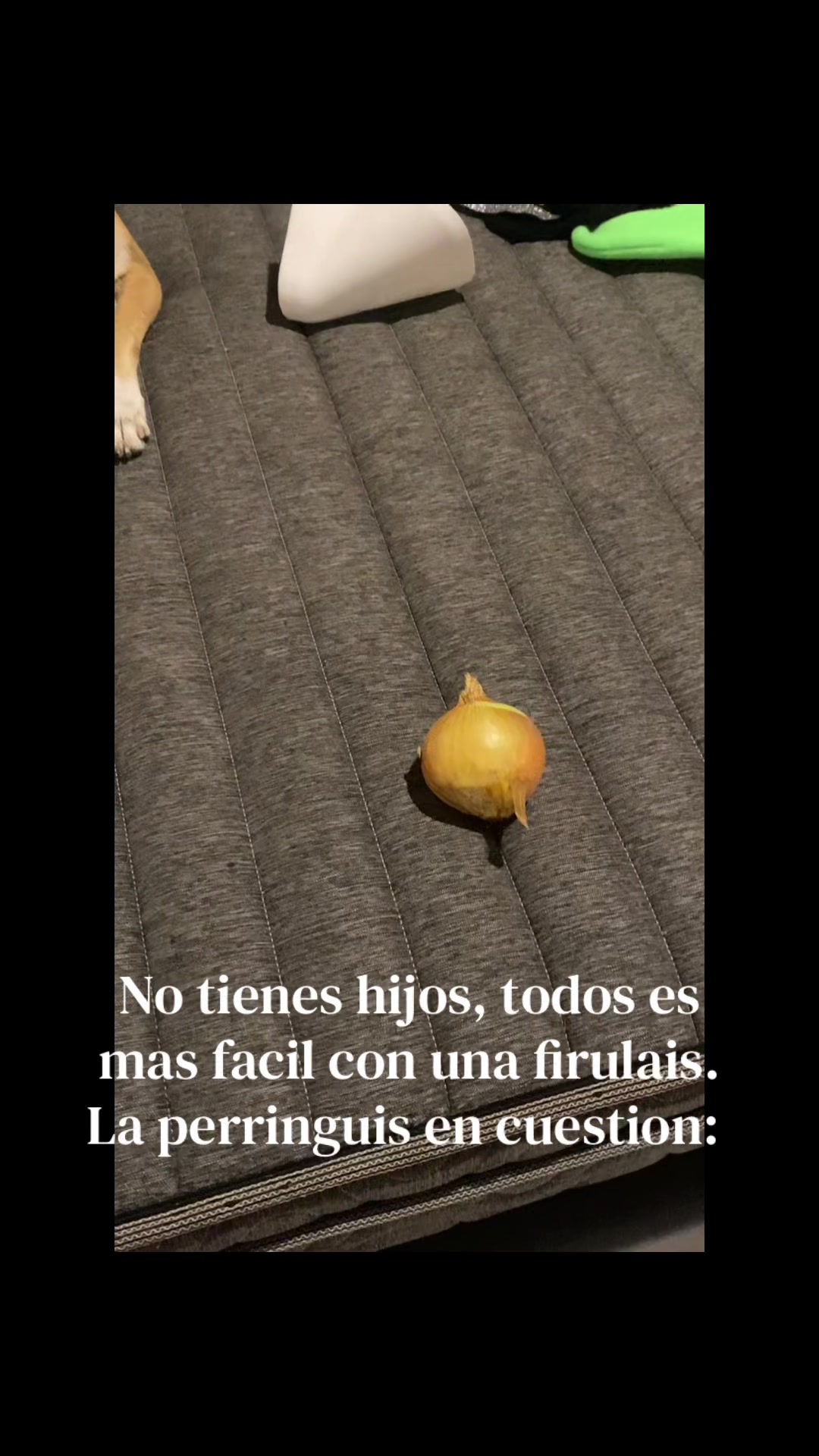 @cattalolo