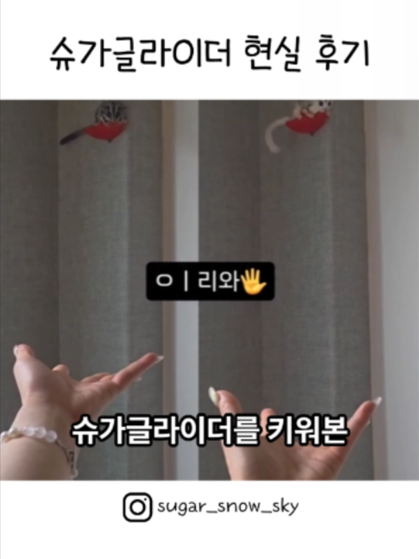 @인기영상