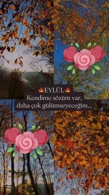 @🦂🖤Deniz yıldızı🖤🦂