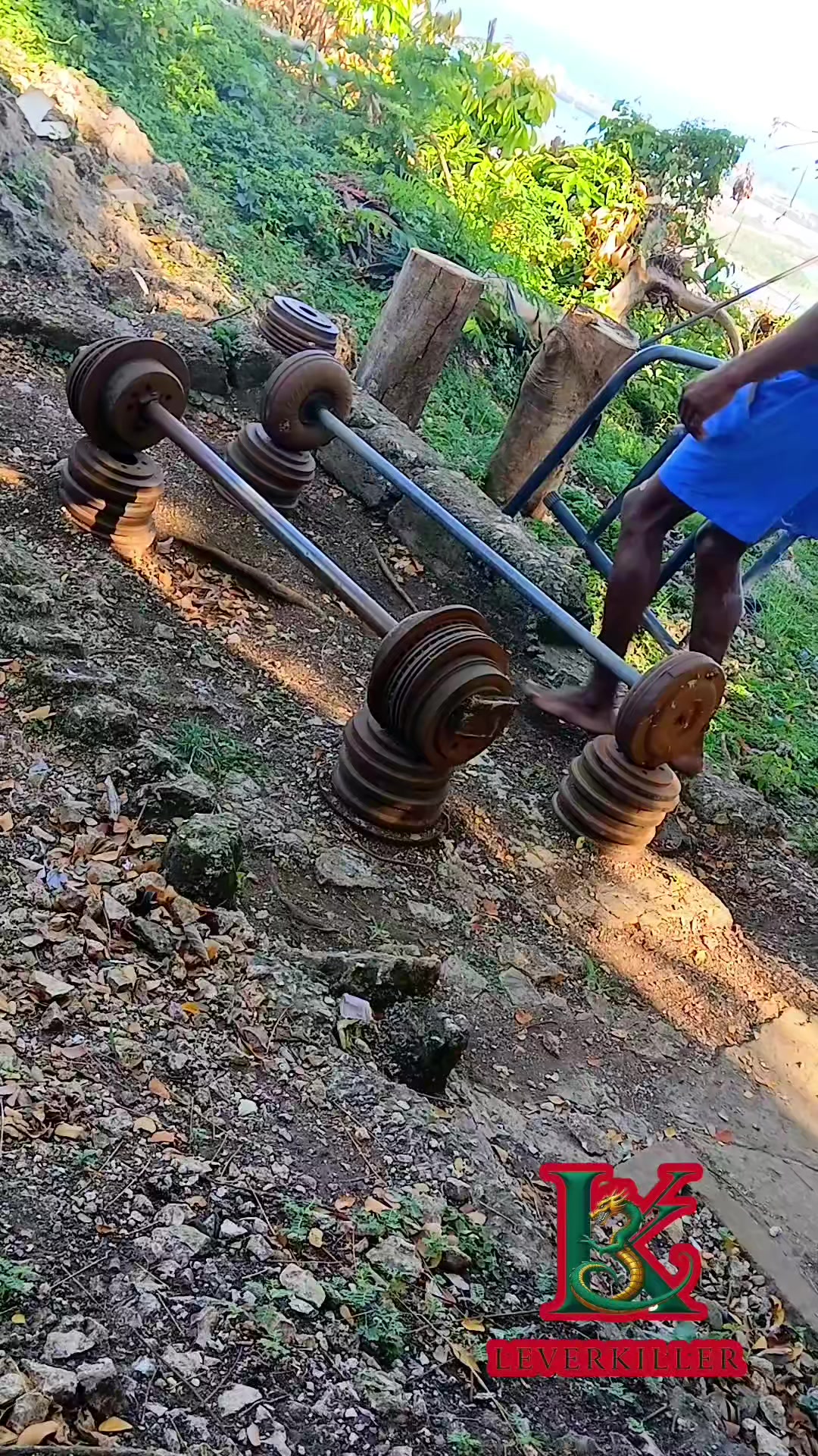 @shubinskeen muscle
