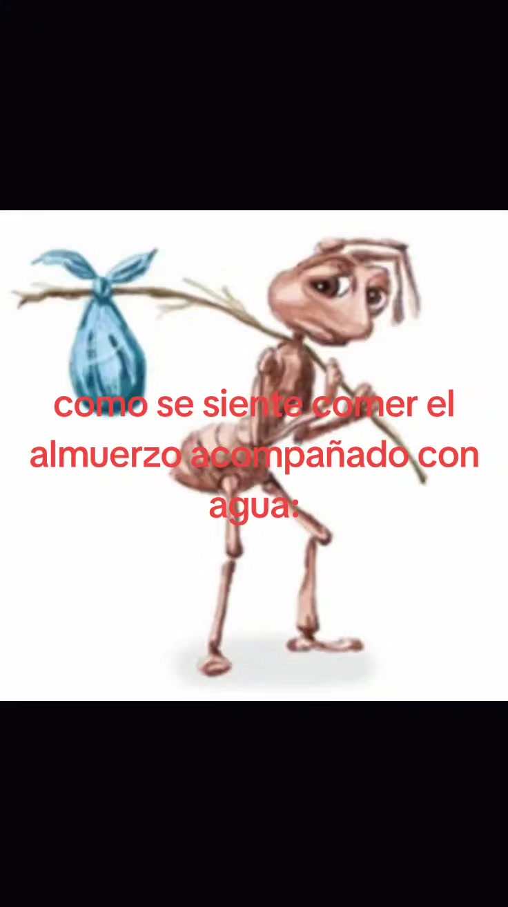 @★~interno~★