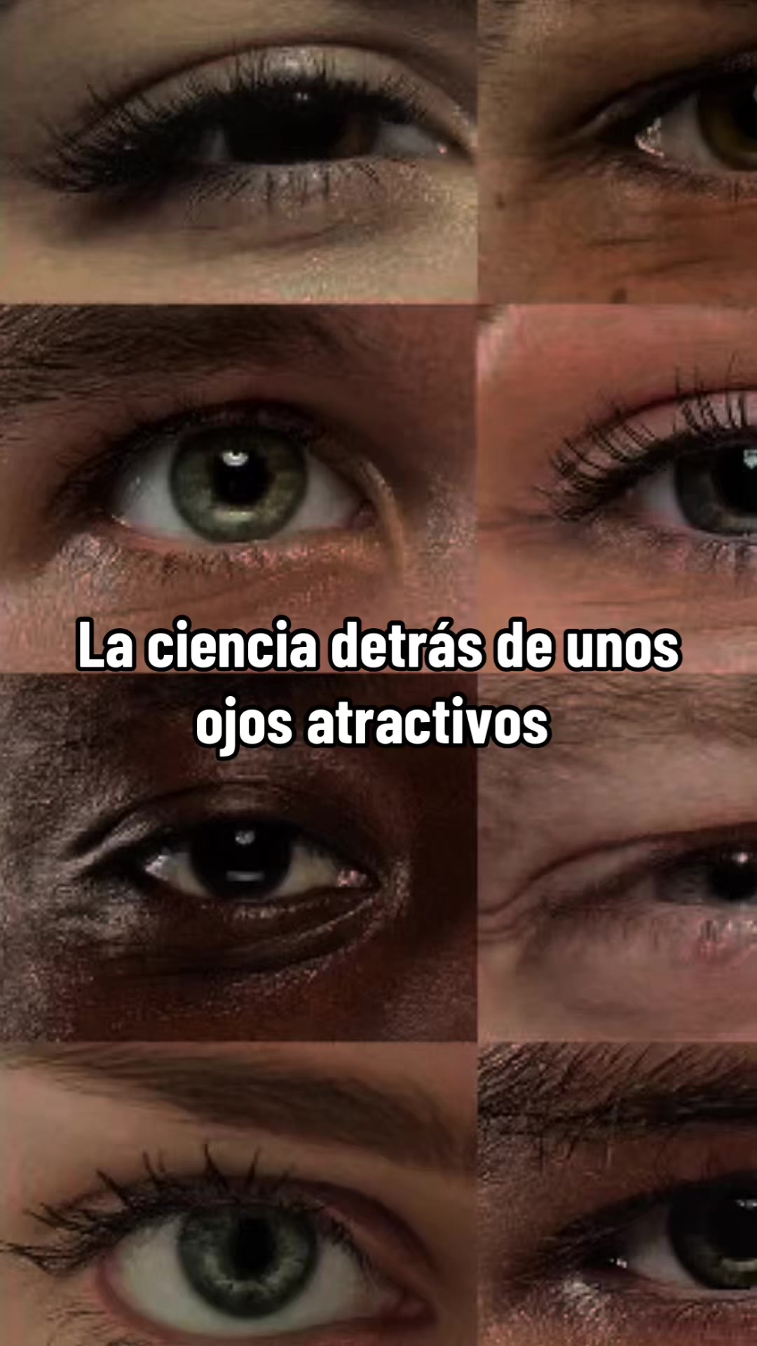 @craneodoncia