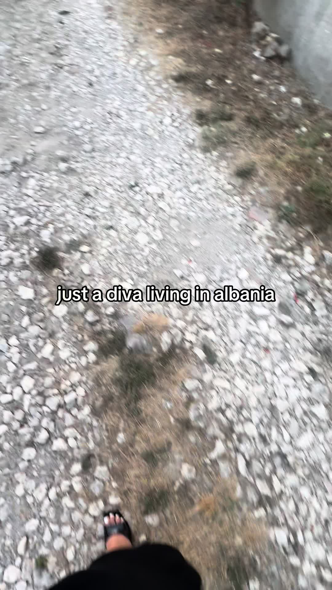 @🦂