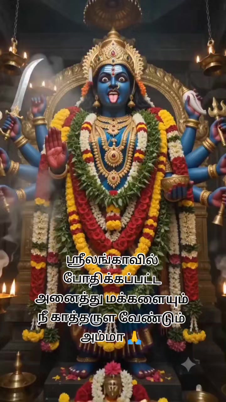 @பேப்பர் ஐடி 248 🌹1