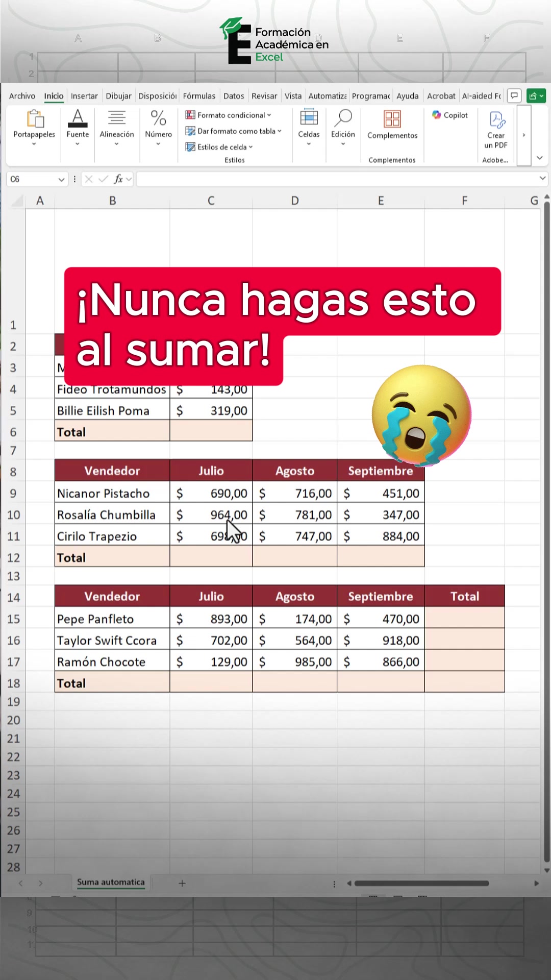 @FAE Formaci&oacute;n Acad&eacute;mica Excel