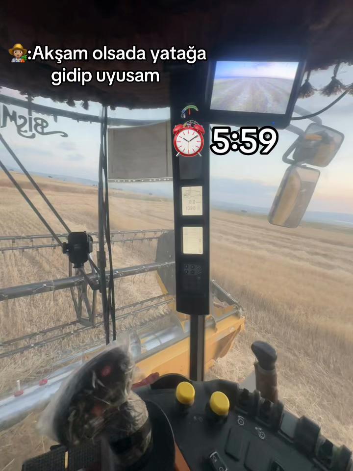@musa_47